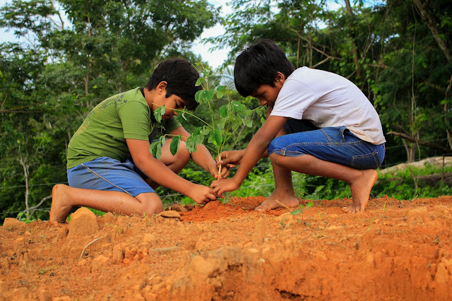 Planting Seeds of Change: Parenting for a Greener Tomorrow